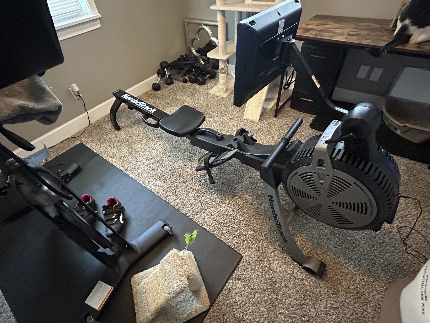 Nordictrack RW600 Rowing Machine