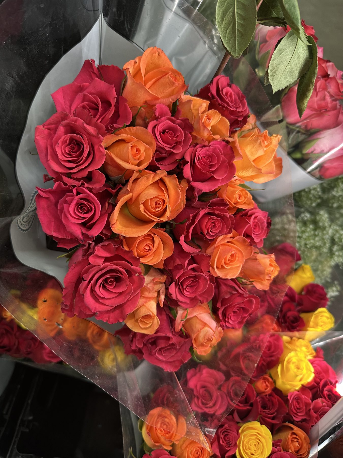 24 count premium hot pink orange roses rainforest alliance certified next-day delivery