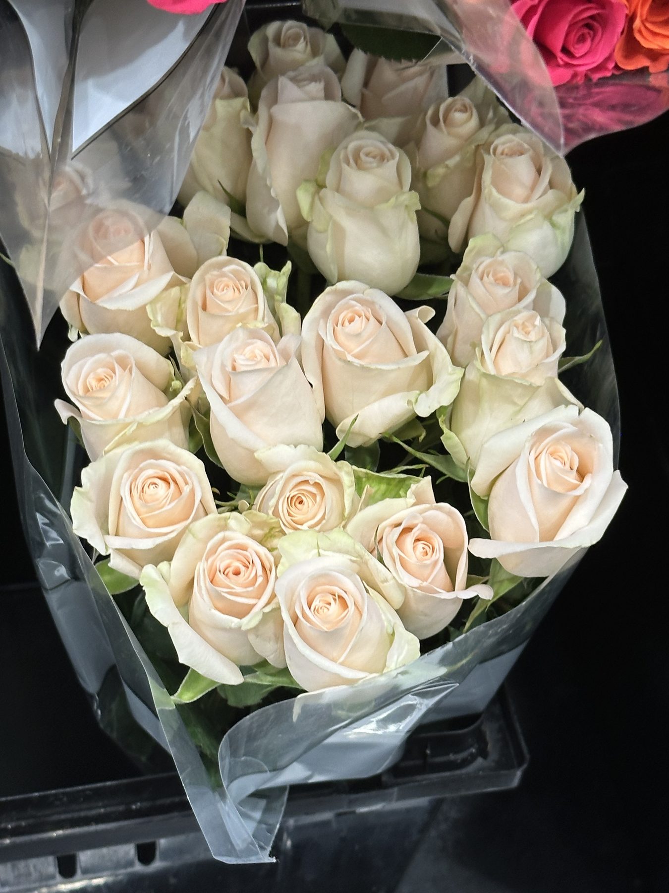 24 count premium white roses rainforest alliance certified next-day delivery