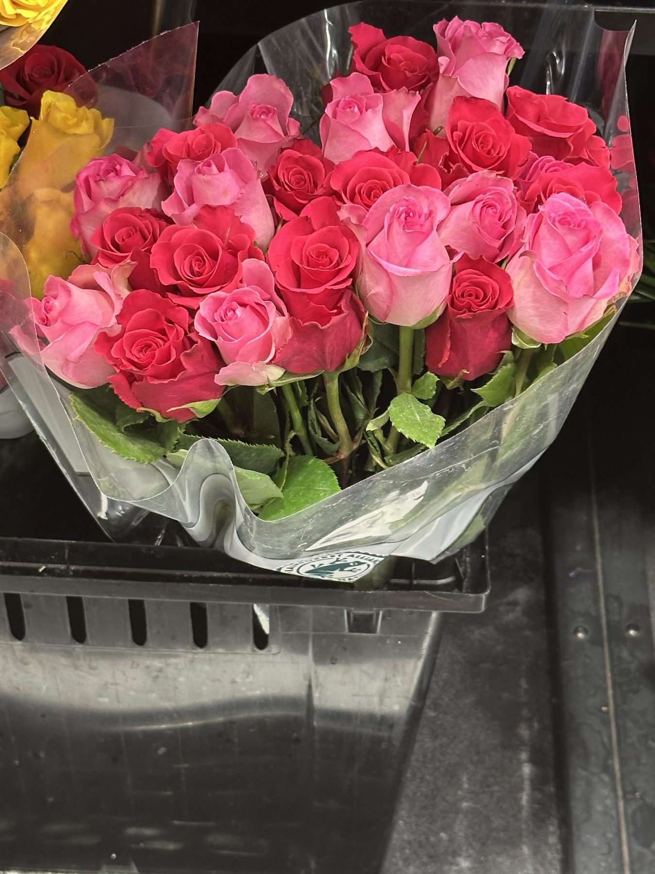 24 count premium red and pink roses alliance certified next-day delivery